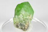 Green Olivine Peridot Crystal Cluster - Pakistan #183965-5